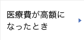 医療費が高額になったとき